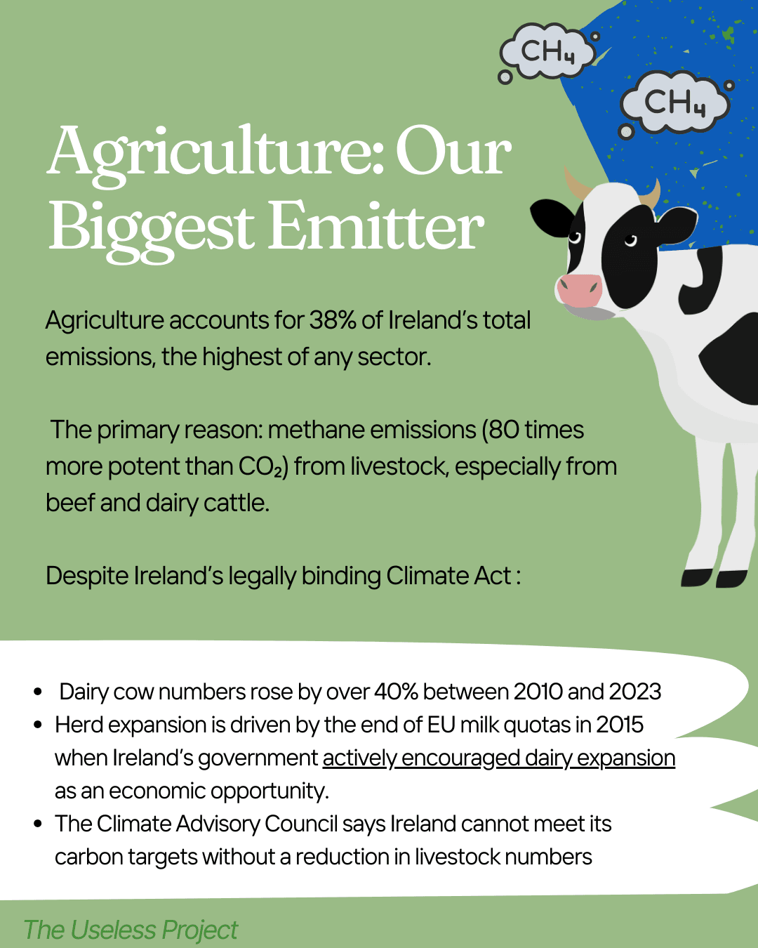 How green is Ireland really? - Image 4