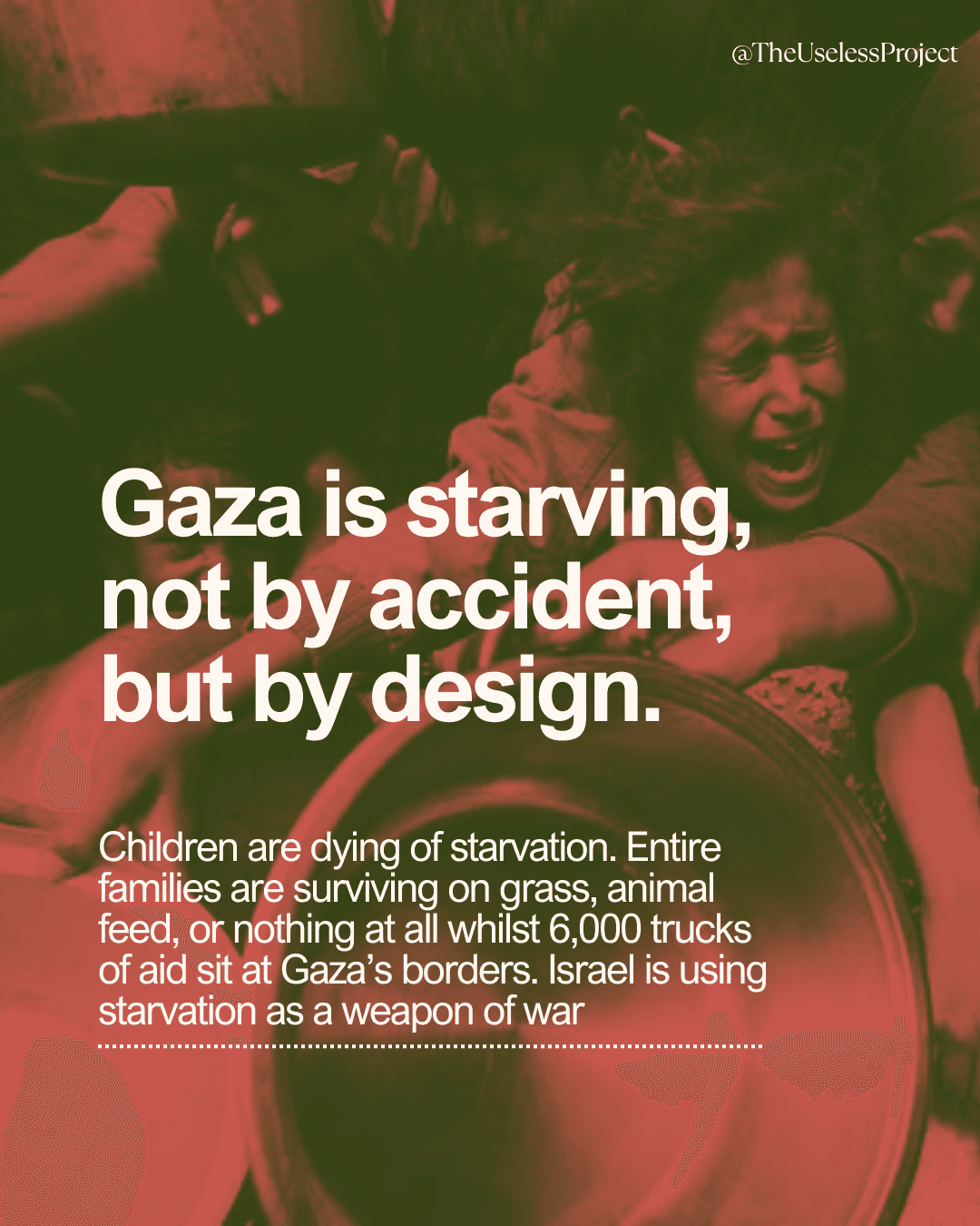Gaza is being starved - Image 1