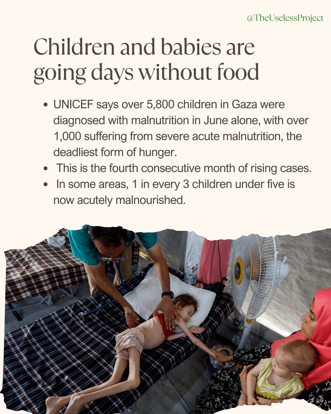 Gaza is being starved - Image 5
